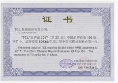 2017中国品牌价值100强